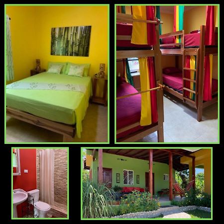 Green Queendom Farm And Lodging Oracabessa Εξωτερικό φωτογραφία