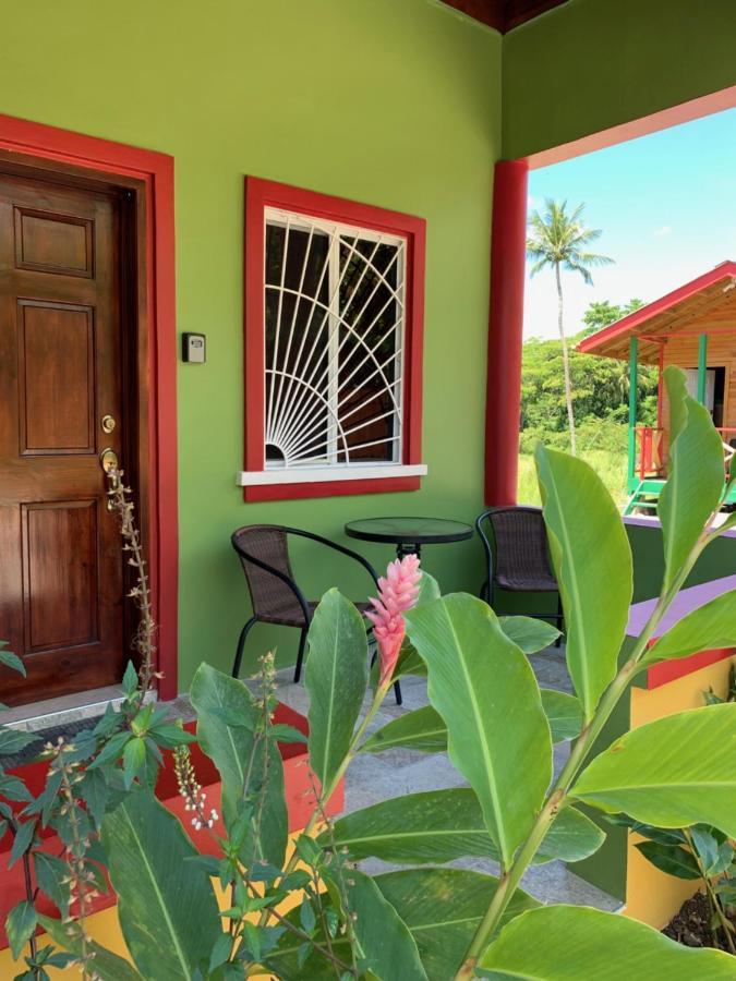 Green Queendom Farm And Lodging Oracabessa Εξωτερικό φωτογραφία