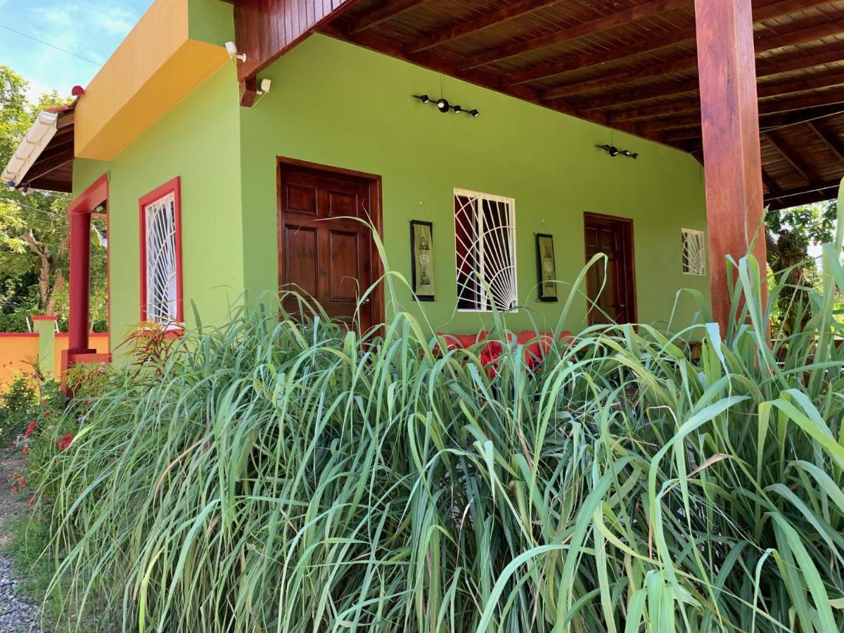 Green Queendom Farm And Lodging Oracabessa Εξωτερικό φωτογραφία